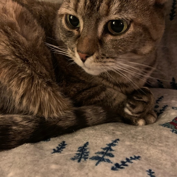 Meet your Posher, Krystal - Picture 6 of 7